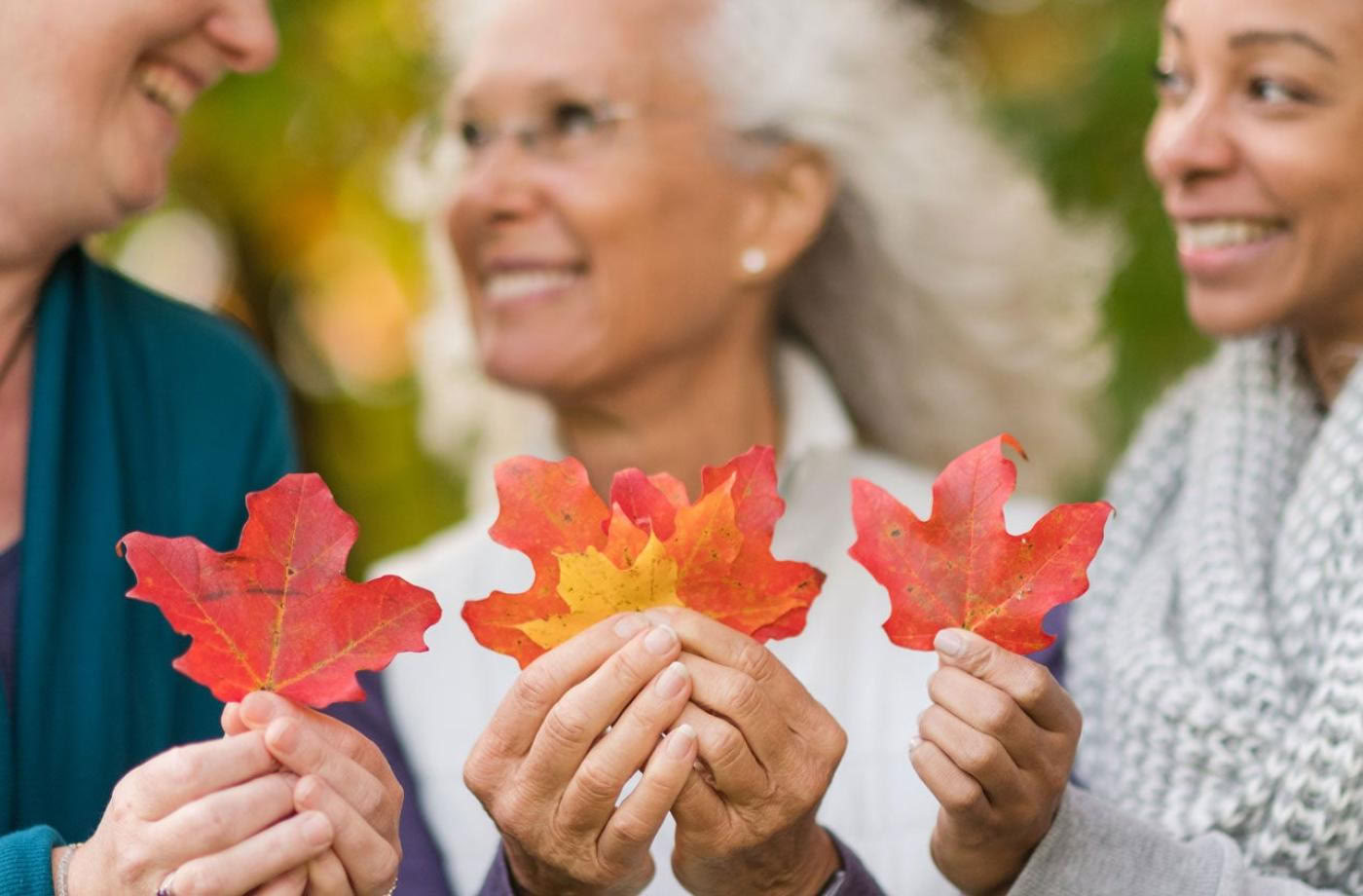 650-Hour Ayurveda Health Counselor Certification