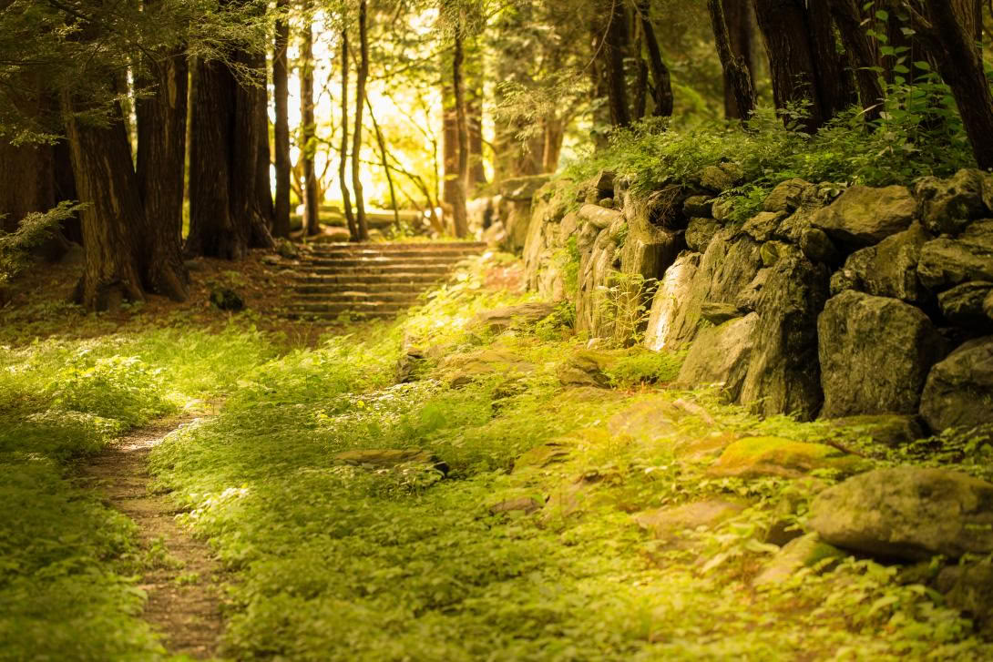 The Land Is Medicine