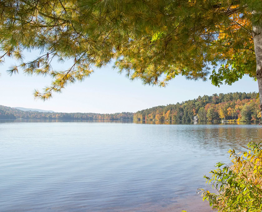 Mindful Outdoor Guide Certification, Level 1 Forest Community