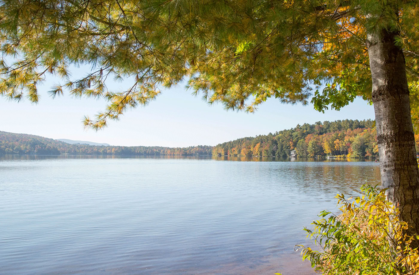 Mindful Outdoor Guide Certification, Level 2 Aligning with Nature