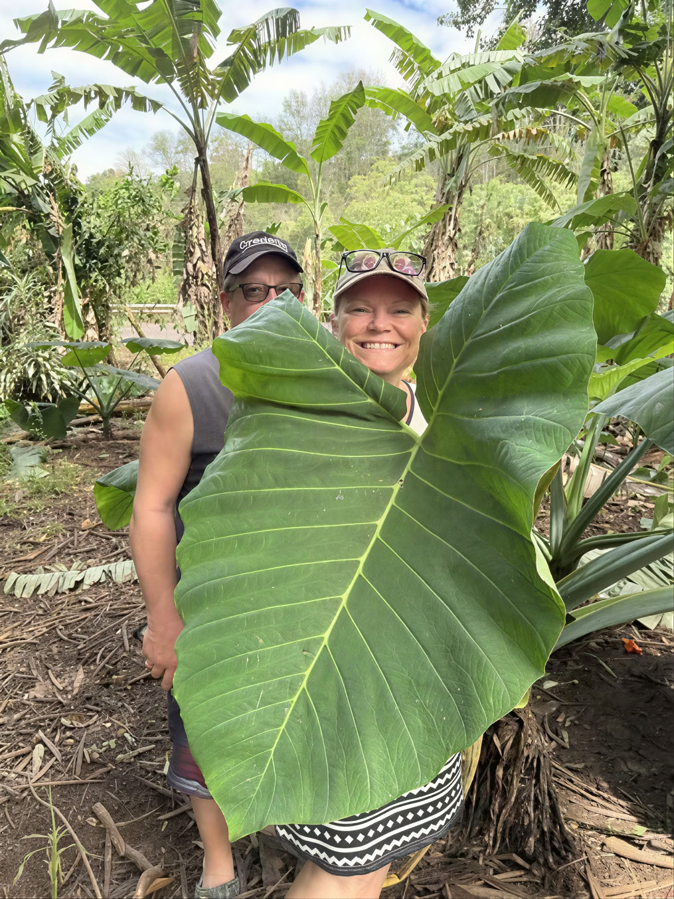 Sacred Garden Nursery Tour