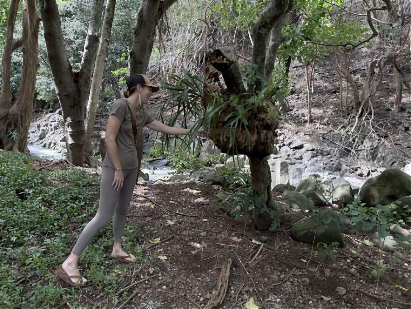 Sacred Garden Nursery Tour