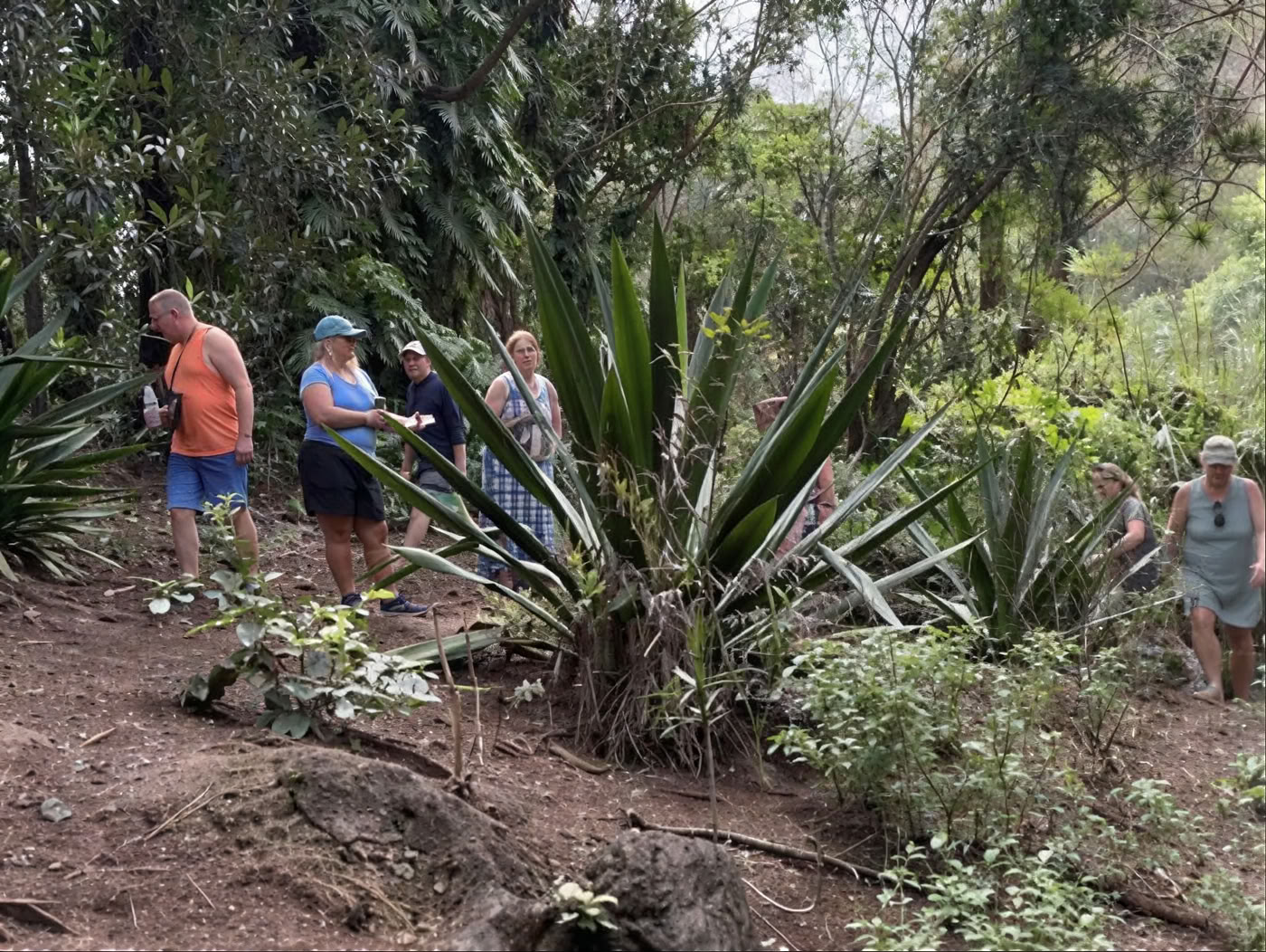 Sacred Garden Nursery Tour