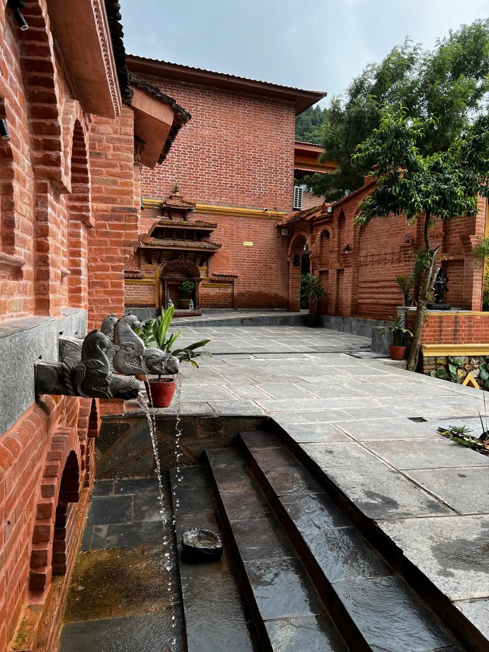 29 nights 30 days Ancient Healing Retreat