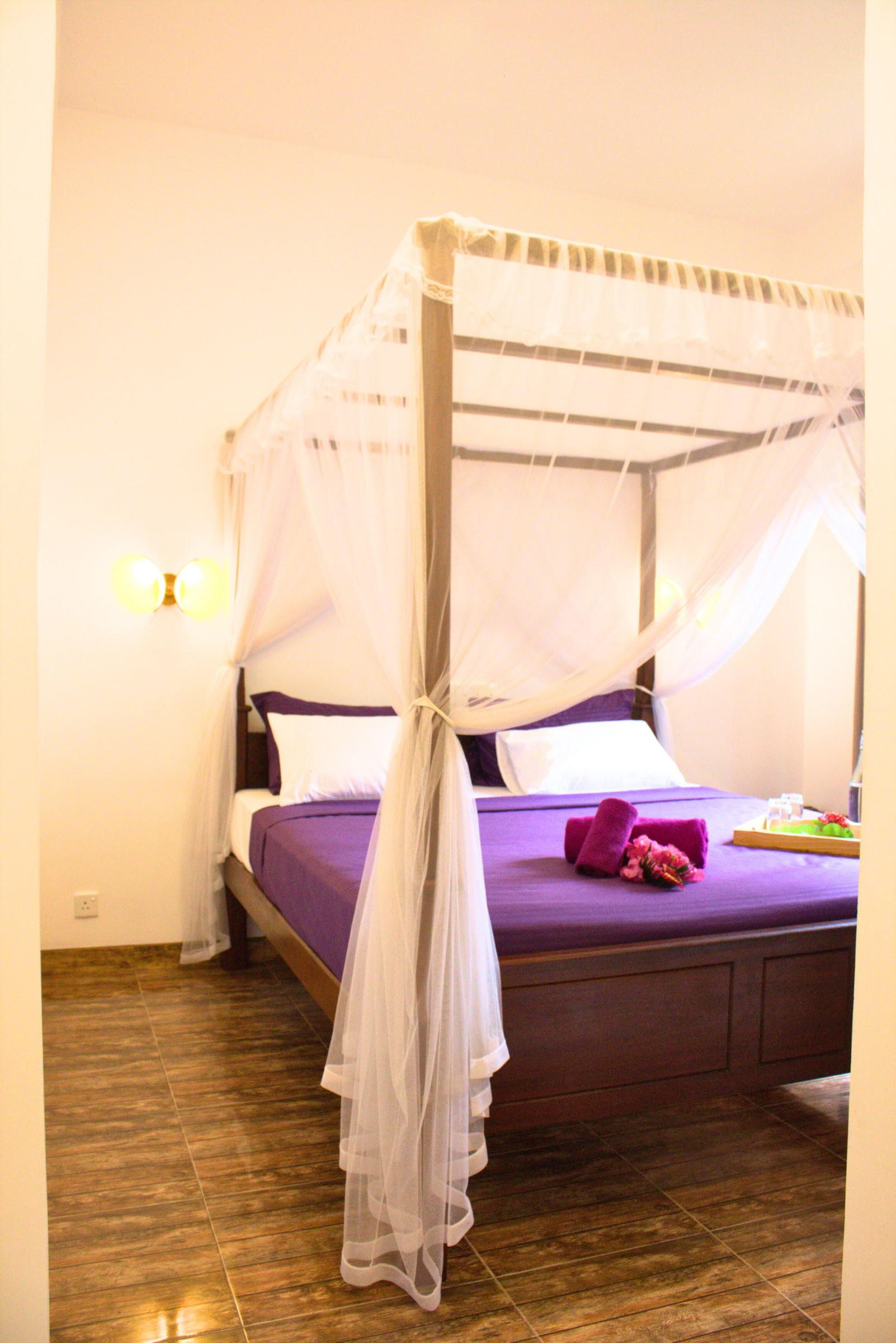 7 Day Nervous System Reset, Yoga & Meditation Retreat, Sri Lanka