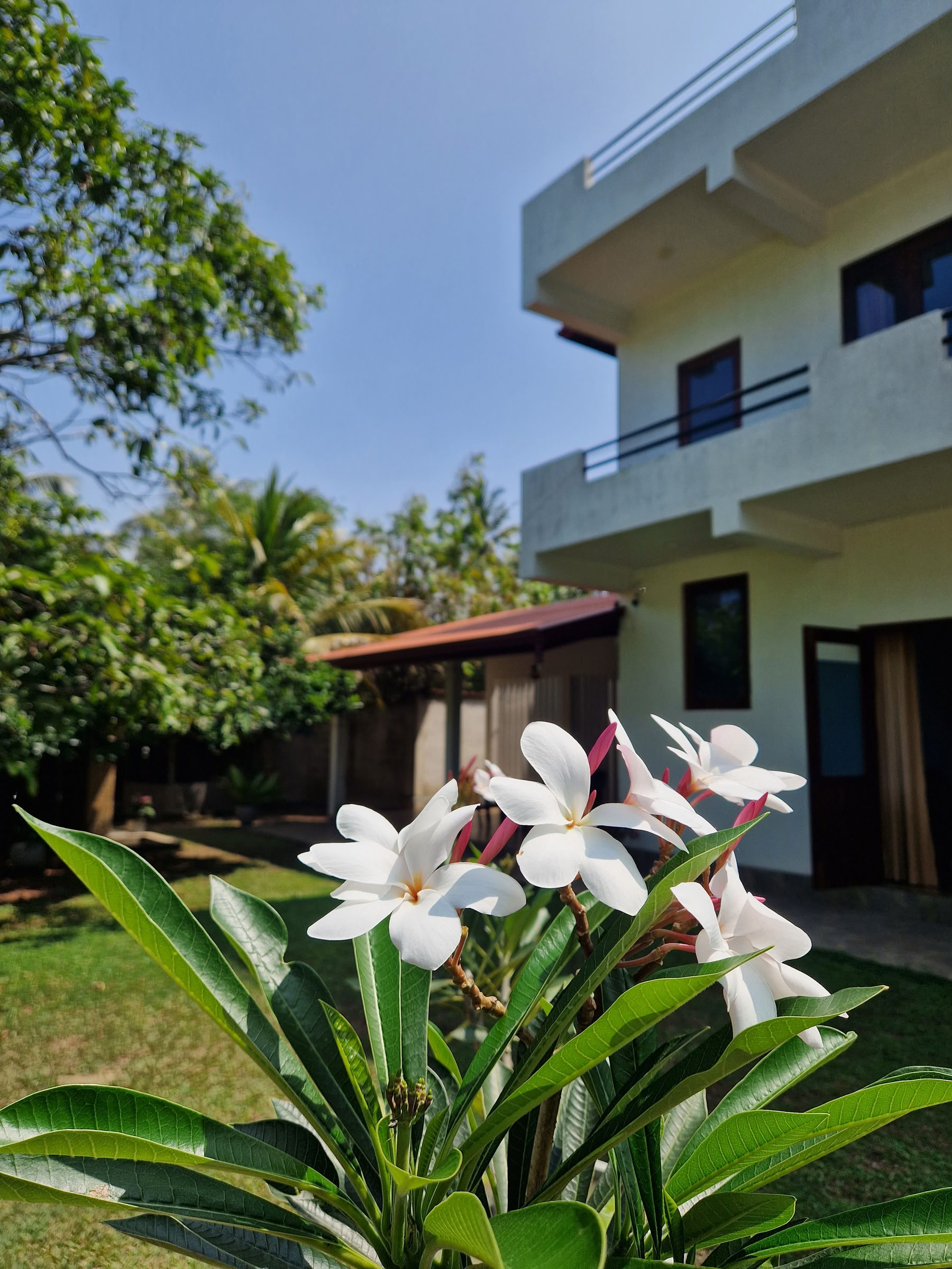 7 Day Nervous System Reset, Yoga & Meditation Retreat, Sri Lanka