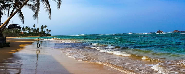 7 Day Nervous System Reset, Yoga & Meditation Retreat, Sri Lanka