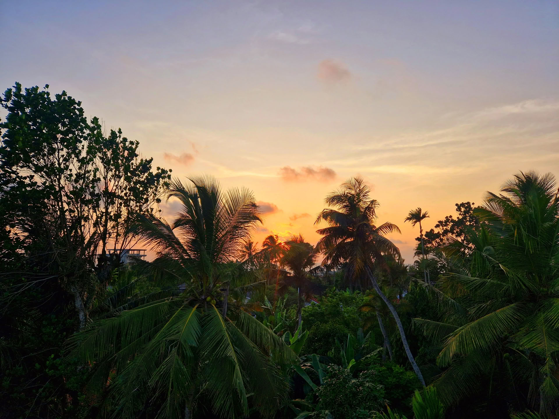 10 Day Indigenous Healing Retreat with Ayurveda and Yoga