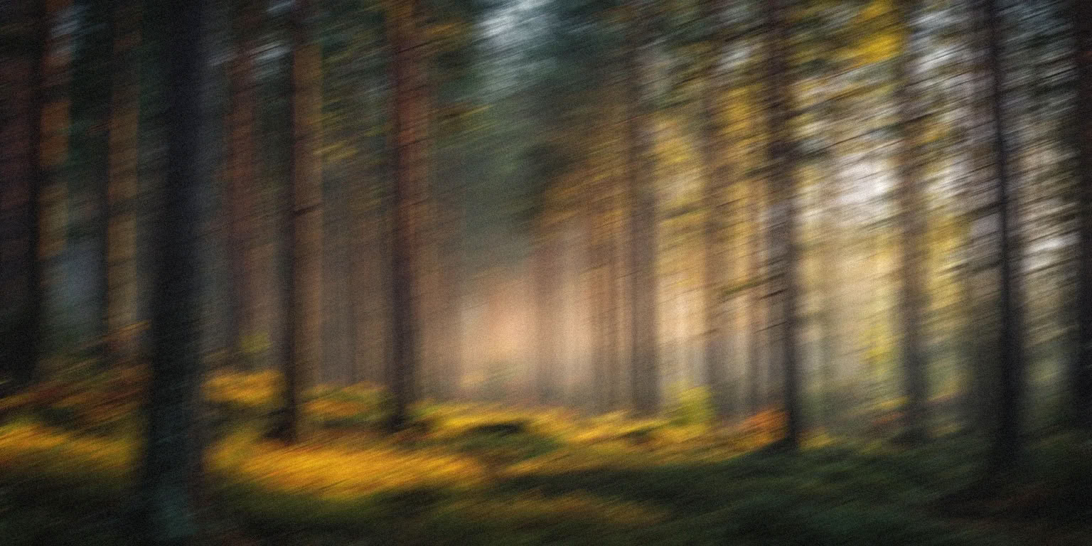 5 Night Leadership Retreat for Burnout