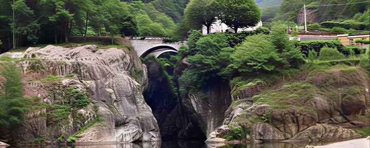 The Path of the Wild Woman