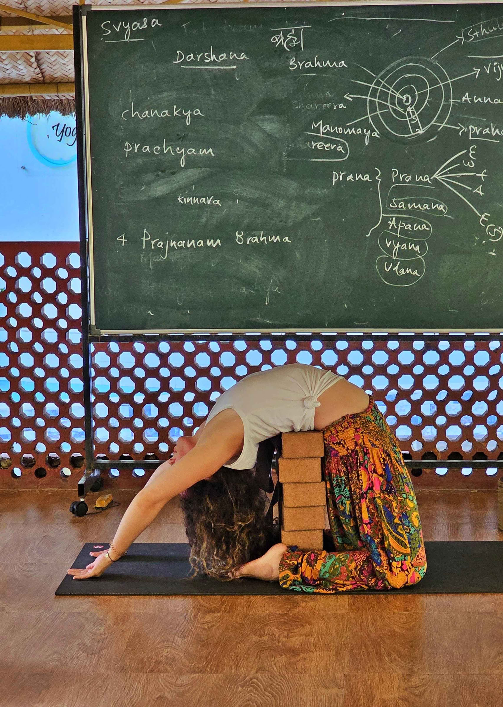 300-Hour Advanced Yoga Teacher Training - August 2026