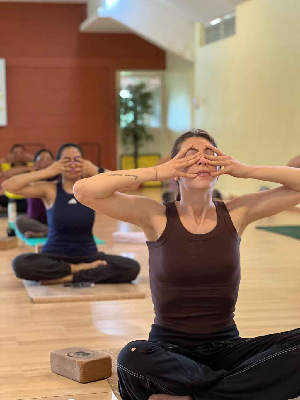 300-Hour Advanced Yoga Teacher Training - January 2027