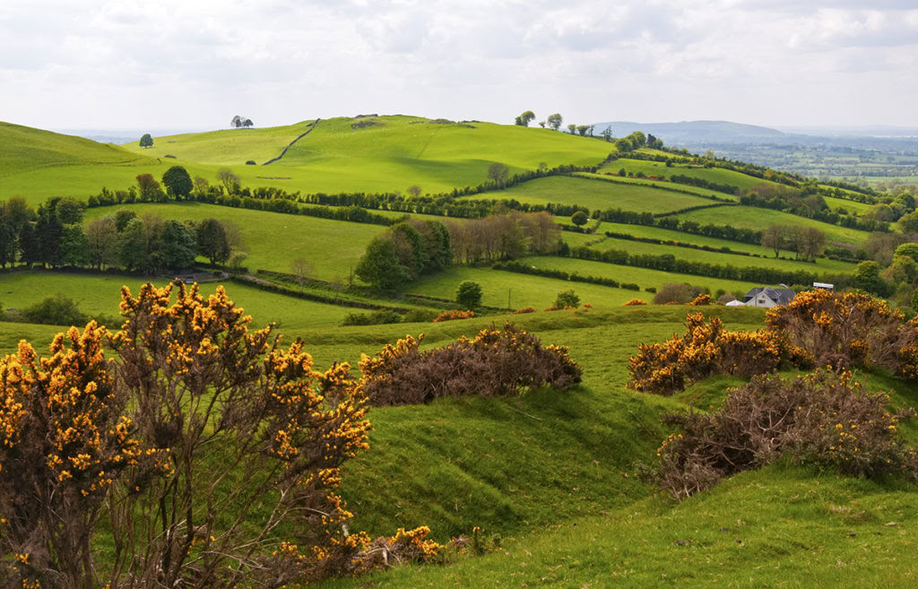 Just Breathe Family Yoga Retreat, Ireland