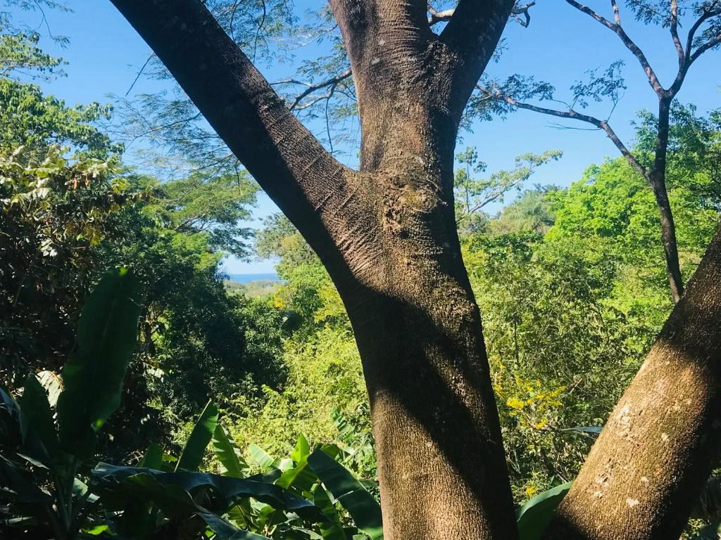 Relax, Reset and Restore in Costa Rica