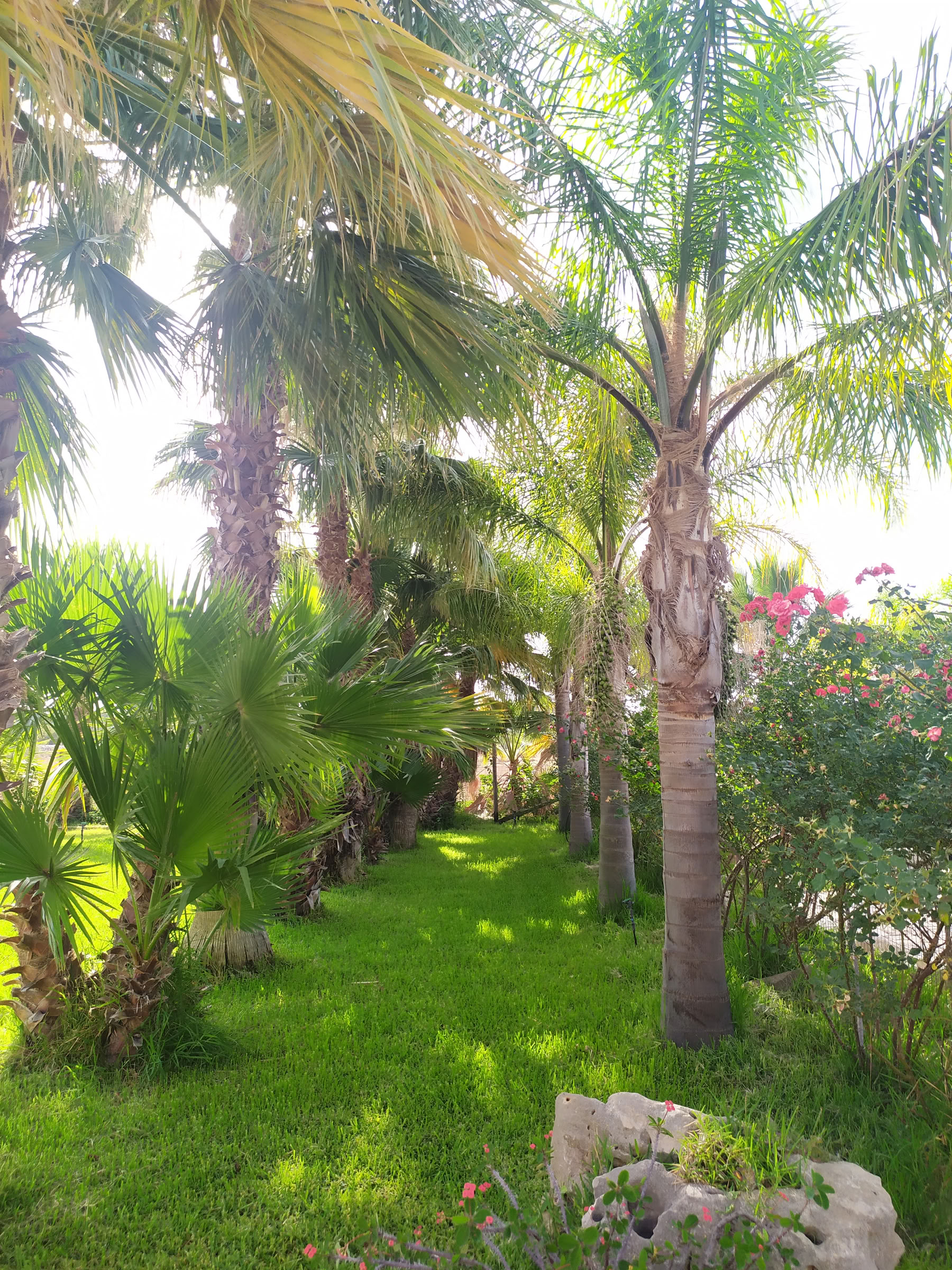 Soul to Sicily - Yoga & Wellness Transformational Retreat
