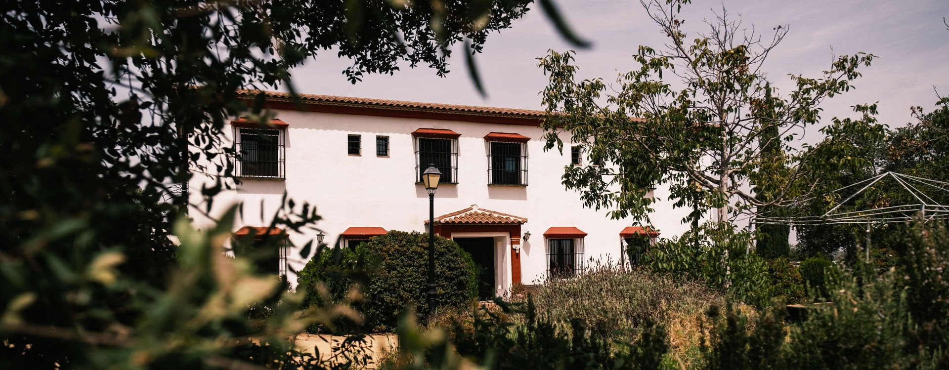 November Yoga Retreat: Yoga in Your Daily Life