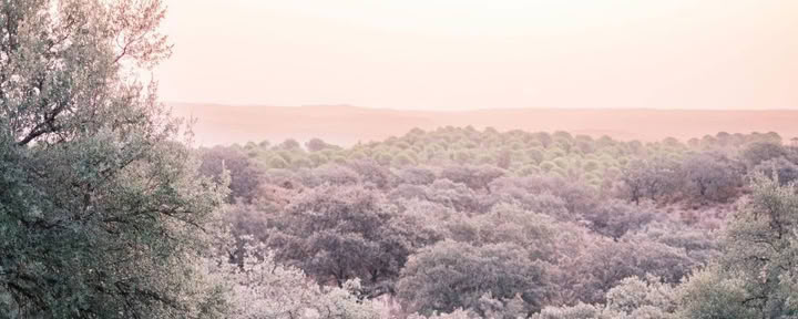 Kundalini Yoga Retreat