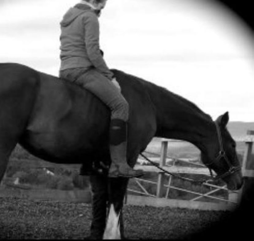Equine Meditation