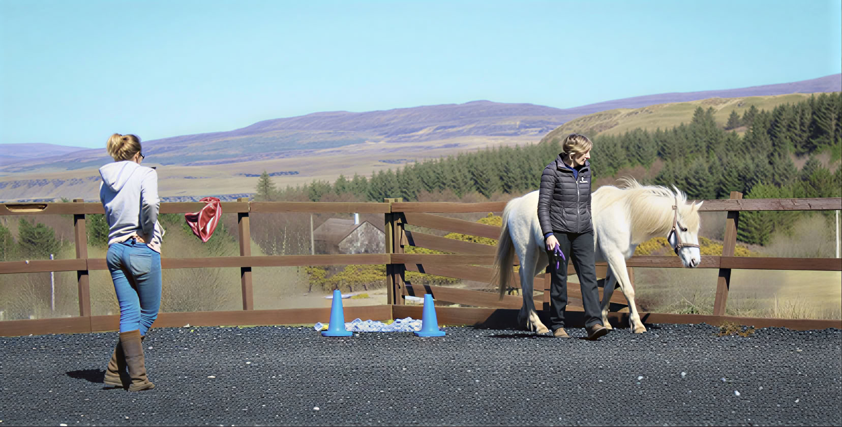 Equine Assisted Therapeutic Coaching