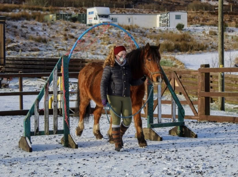 Equine Assisted Therapeutic Coaching