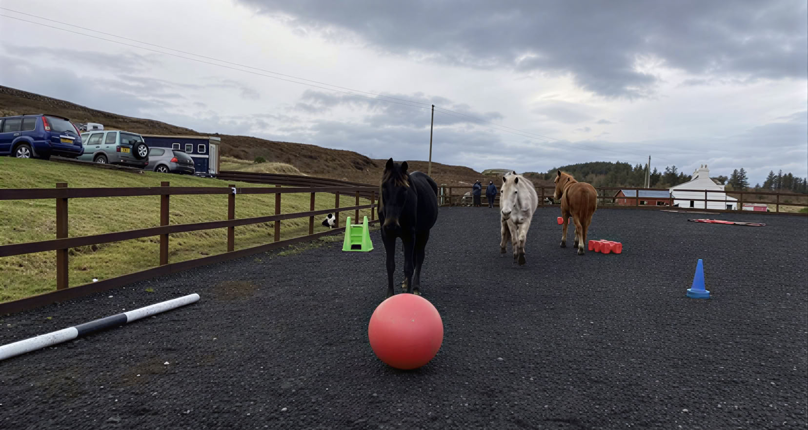 Equine Assisted Therapeutic Coaching