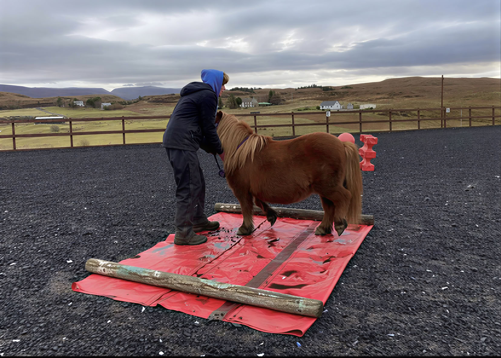 Equine Assisted Therapeutic Coaching