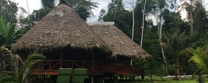 11 days Retreat