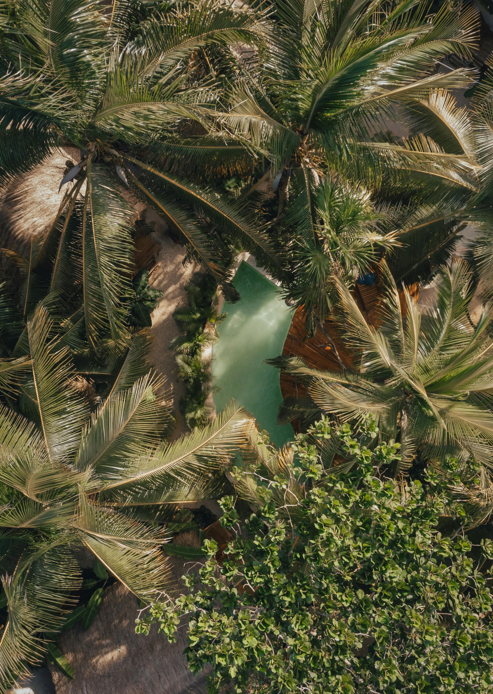 Ayurveda Panchakarma & Yoga Wellness Retreat