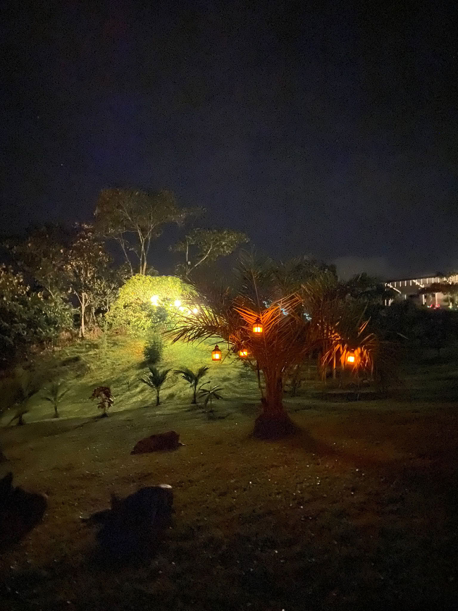 Living Earth Ceremony: Inner Journey & Natural Rhythm