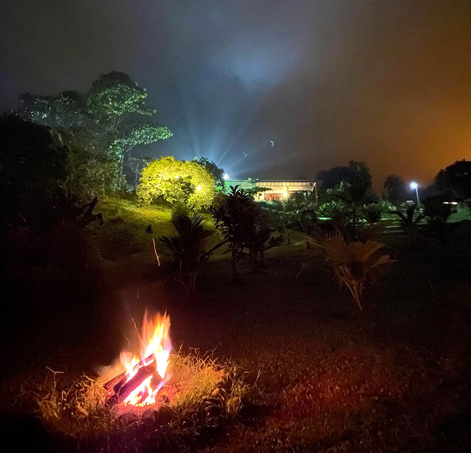 Living Earth Ceremony: Inner Journey & Natural Rhythm