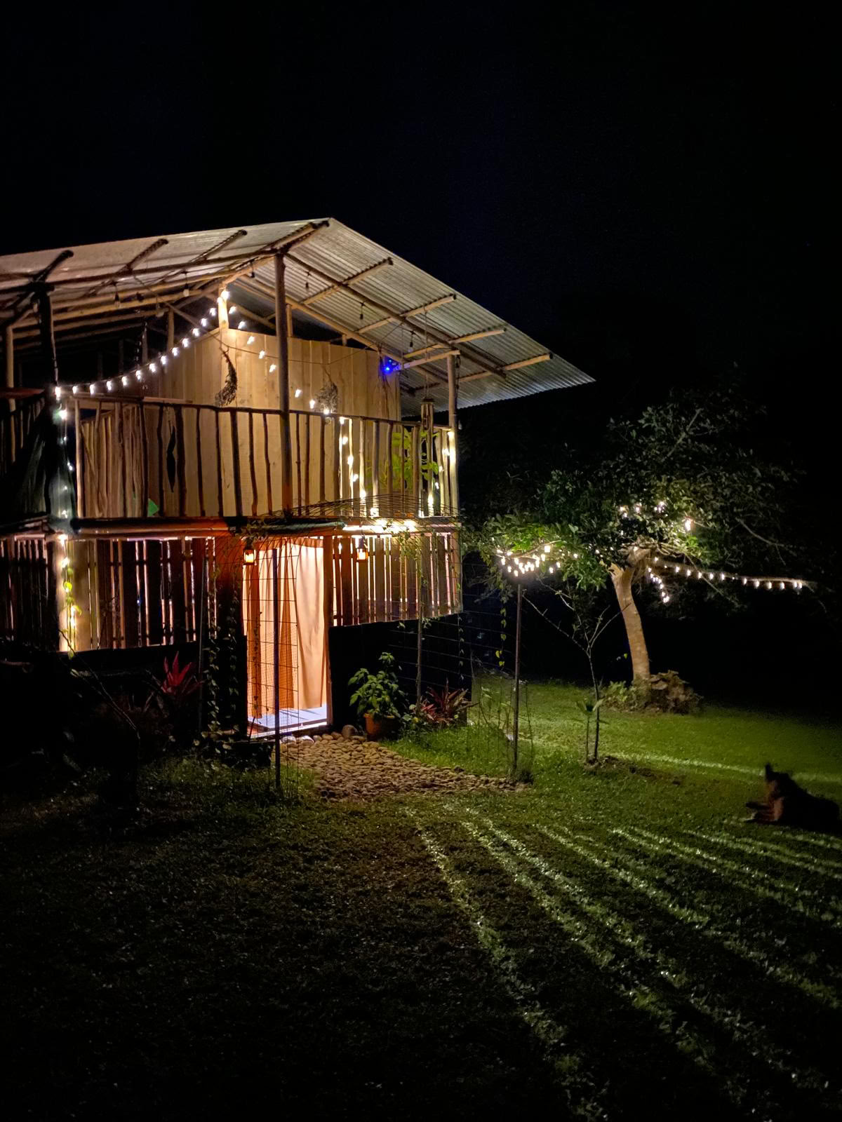 Private Psilocybin Retreat Costa Rica
