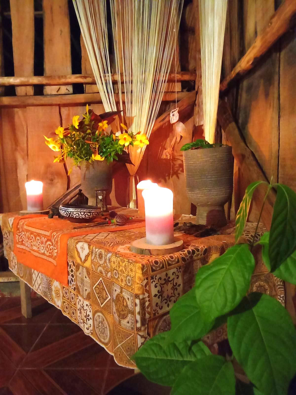 Private Psilocybin Ceremony in Costa Rica