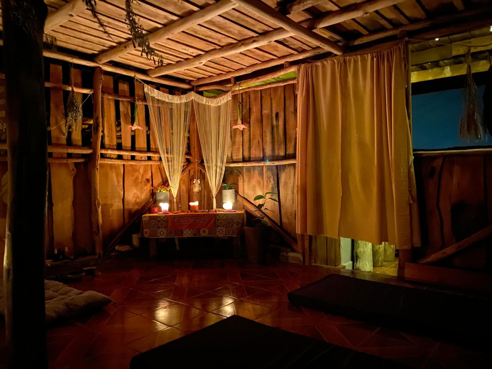 Private Psilocybin Ceremony in Costa Rica