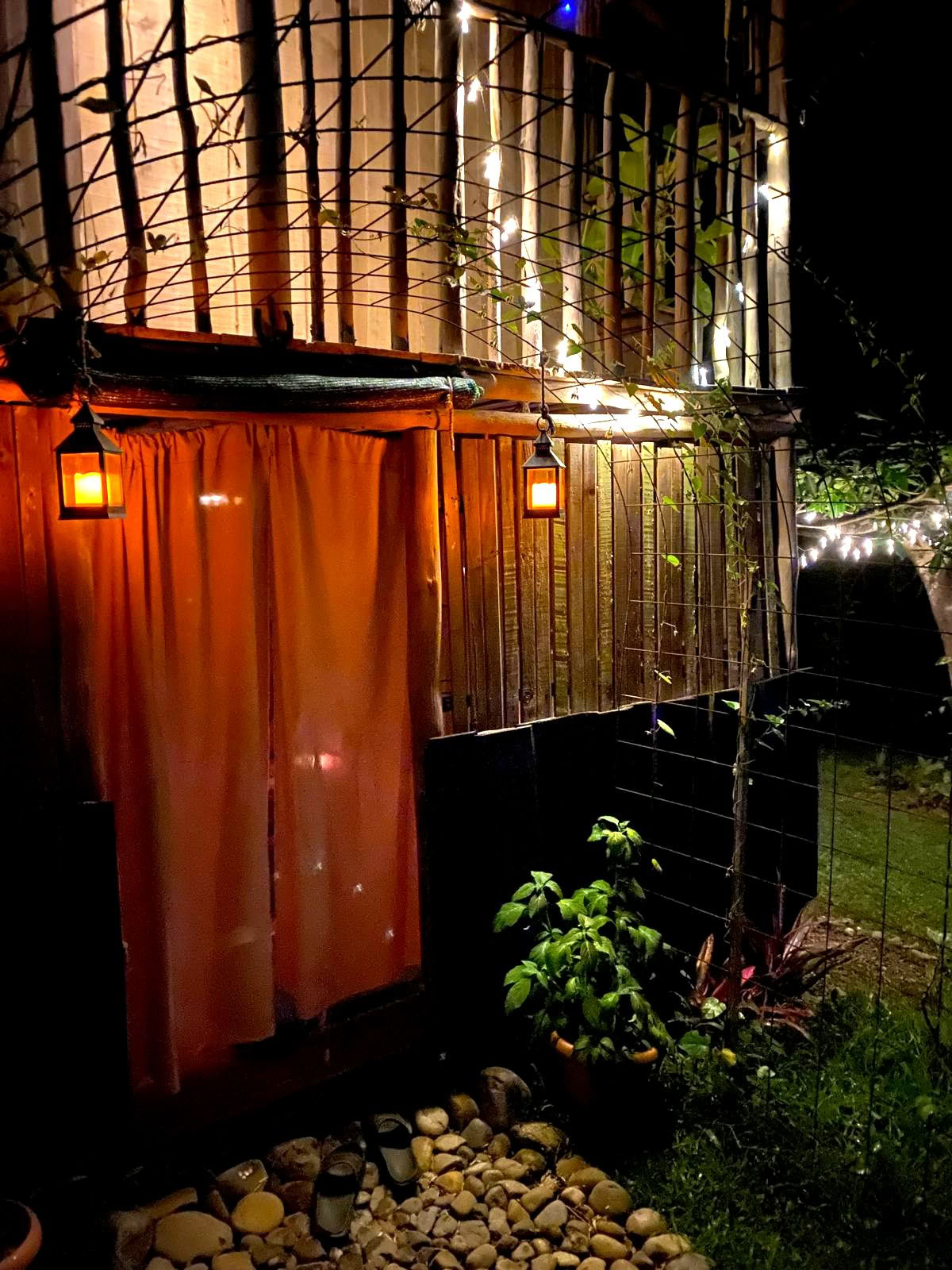 Private Psilocybin Ceremony in Costa Rica
