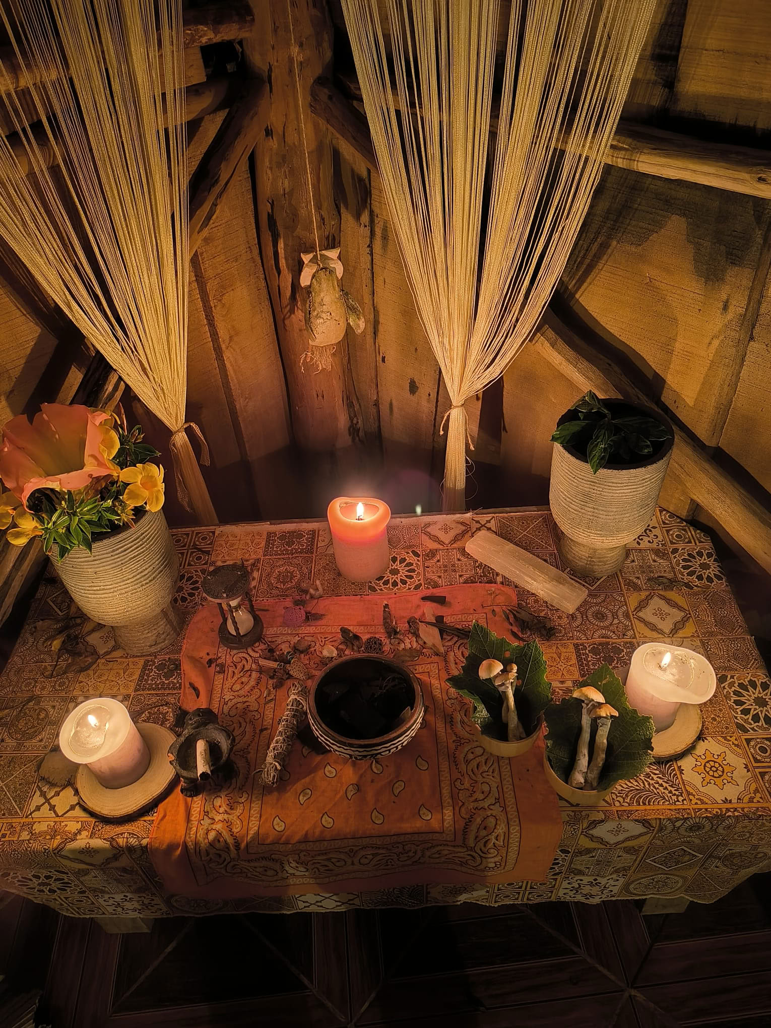 Private Psilocybin Ceremony in Costa Rica