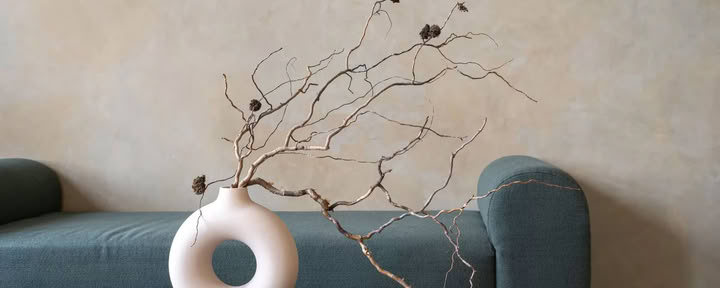Feng Shui Home Consultation