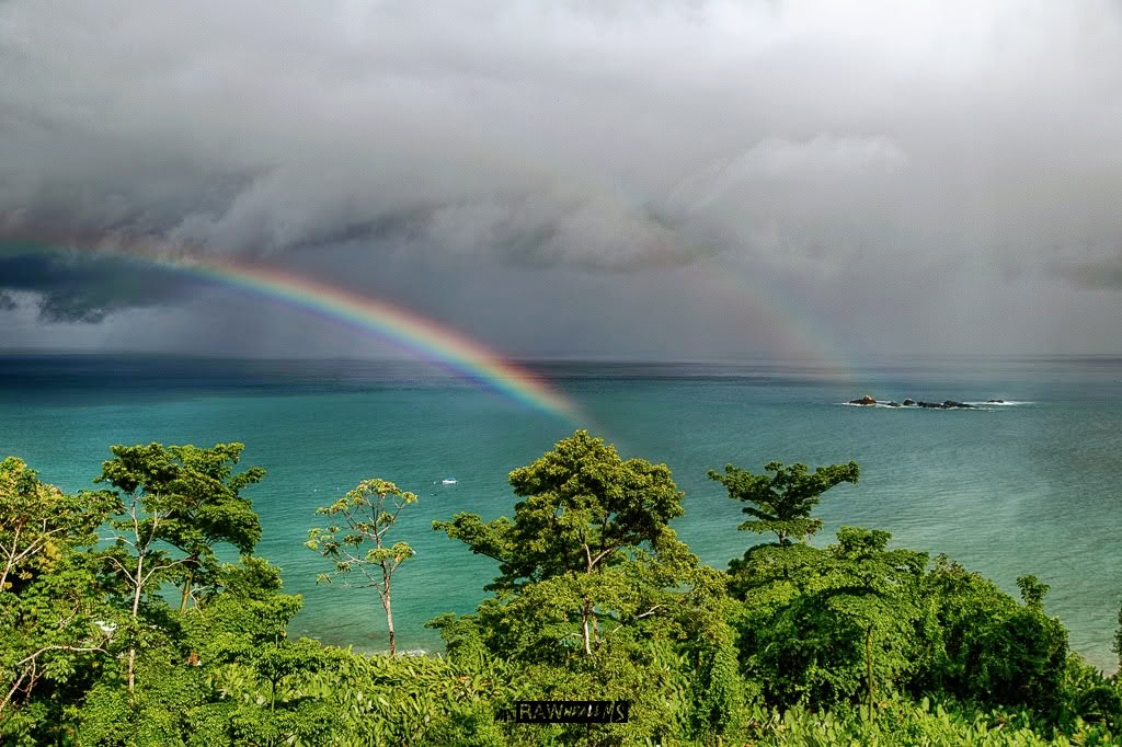 July 3 – 13, 2026 | Osa Peninsula, Costa Rica