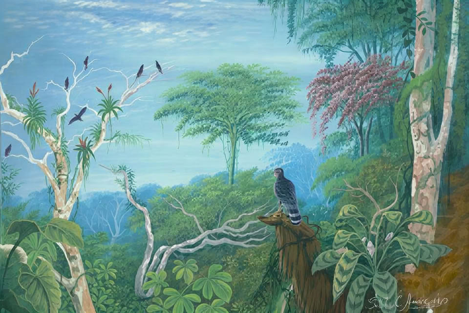February 2– 7, 2027 | Costa Rica Cocoterra rainforest camping experience