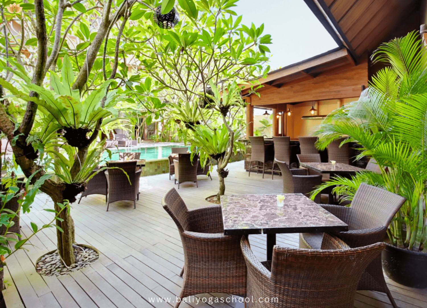 50 / 100 / 200 hrs Yoga Teacher Training in Ubud & Uluwatu