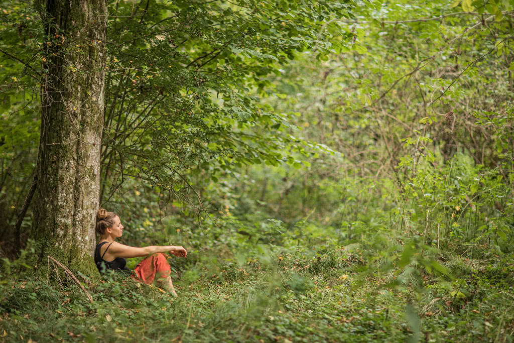 Wild Summer Days – Small Retreat Festival