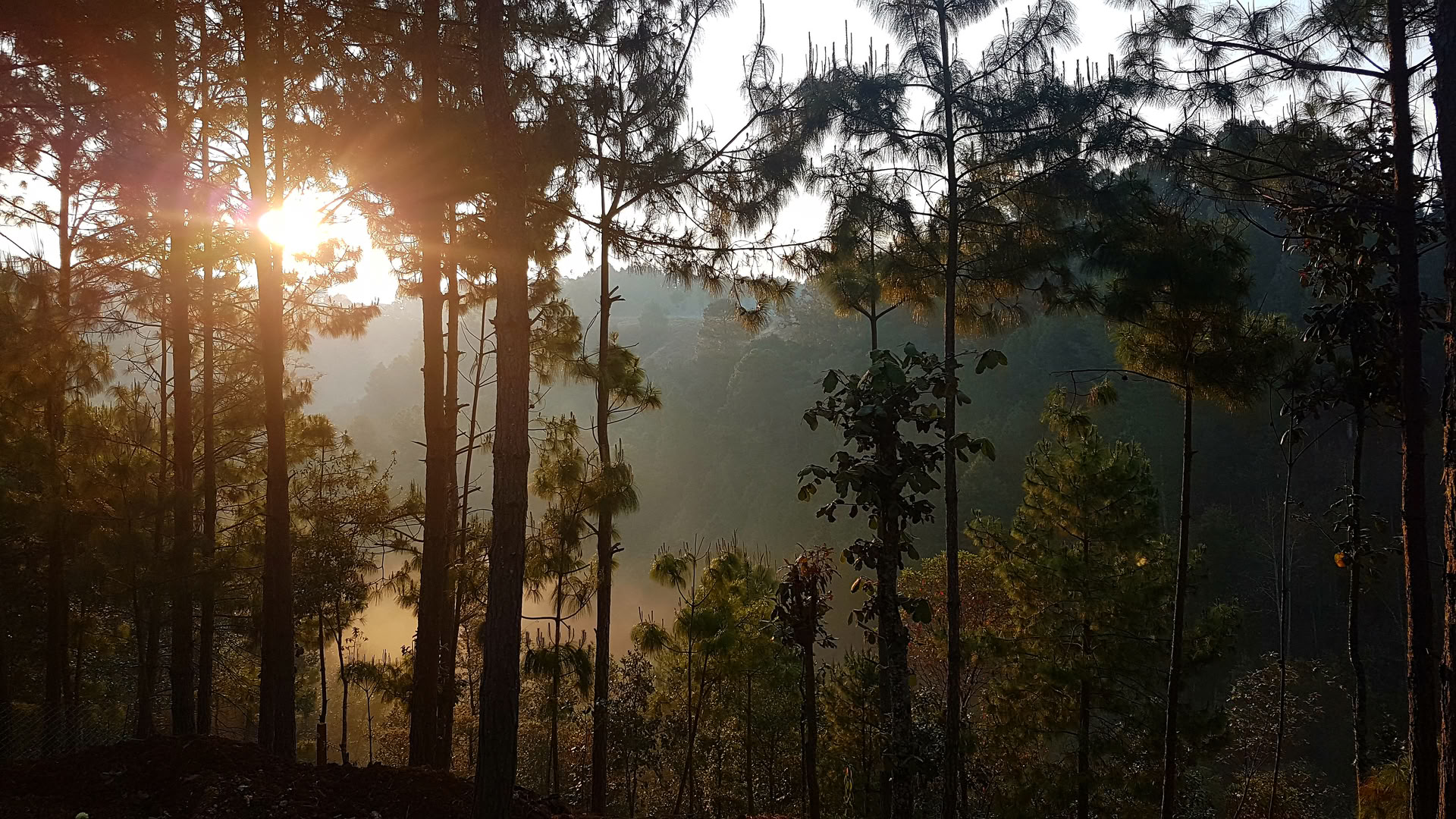 Conscious Relationship & Tantra Retreat
