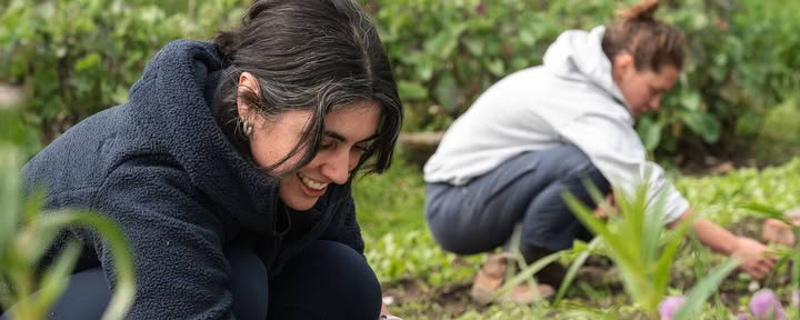Permaculture Volunteer Day