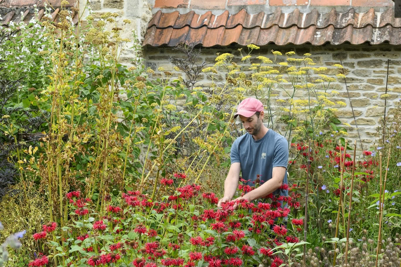 Winter Medicine Making Workshop