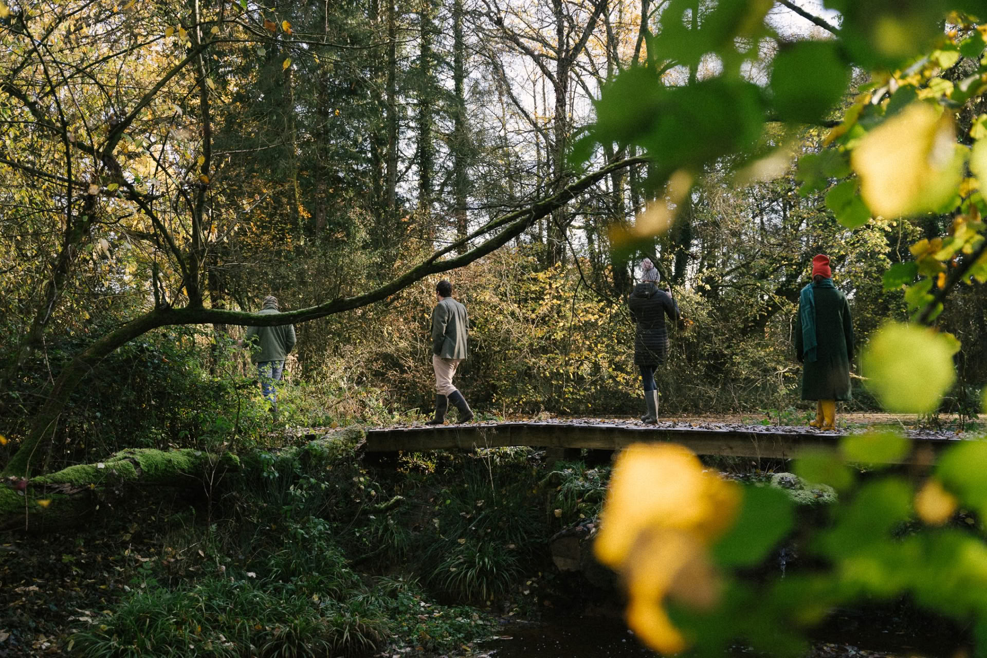 Guided Rewilding Walk