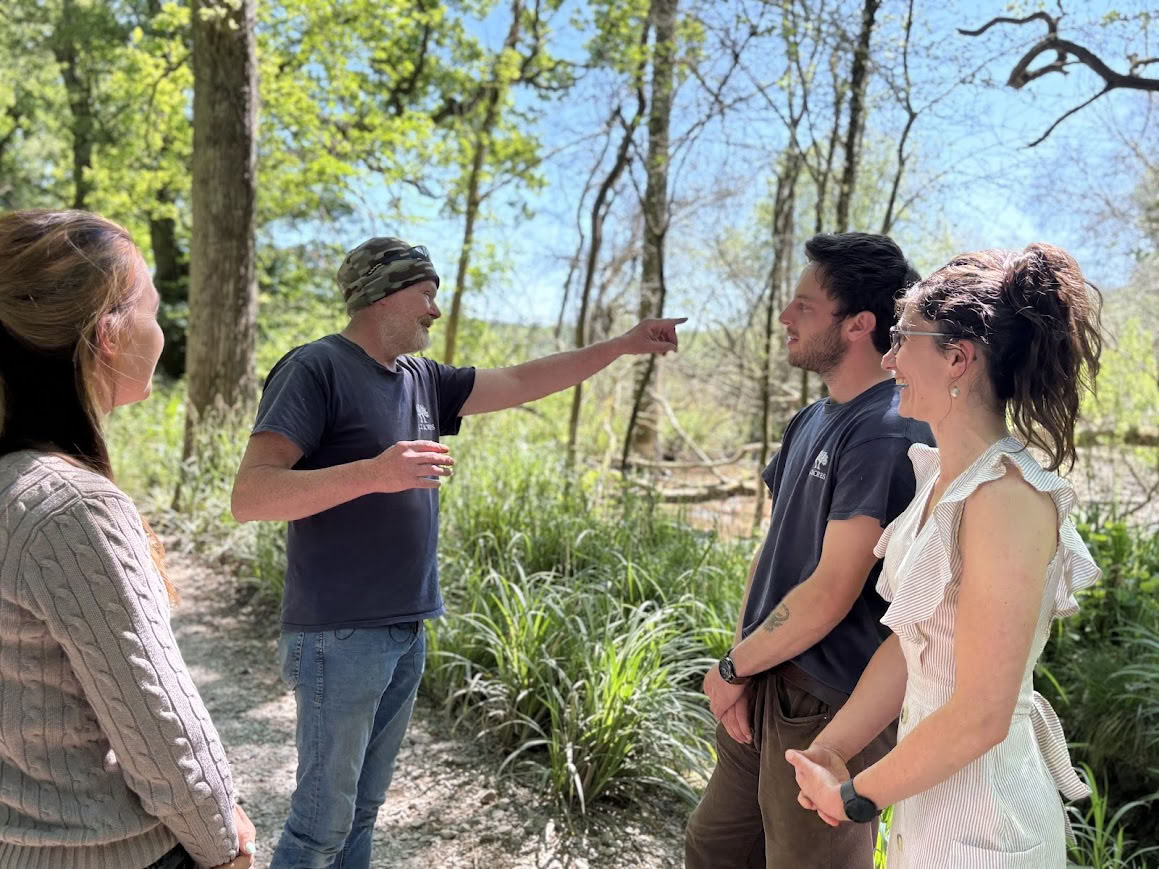 Guided Rewilding Walk