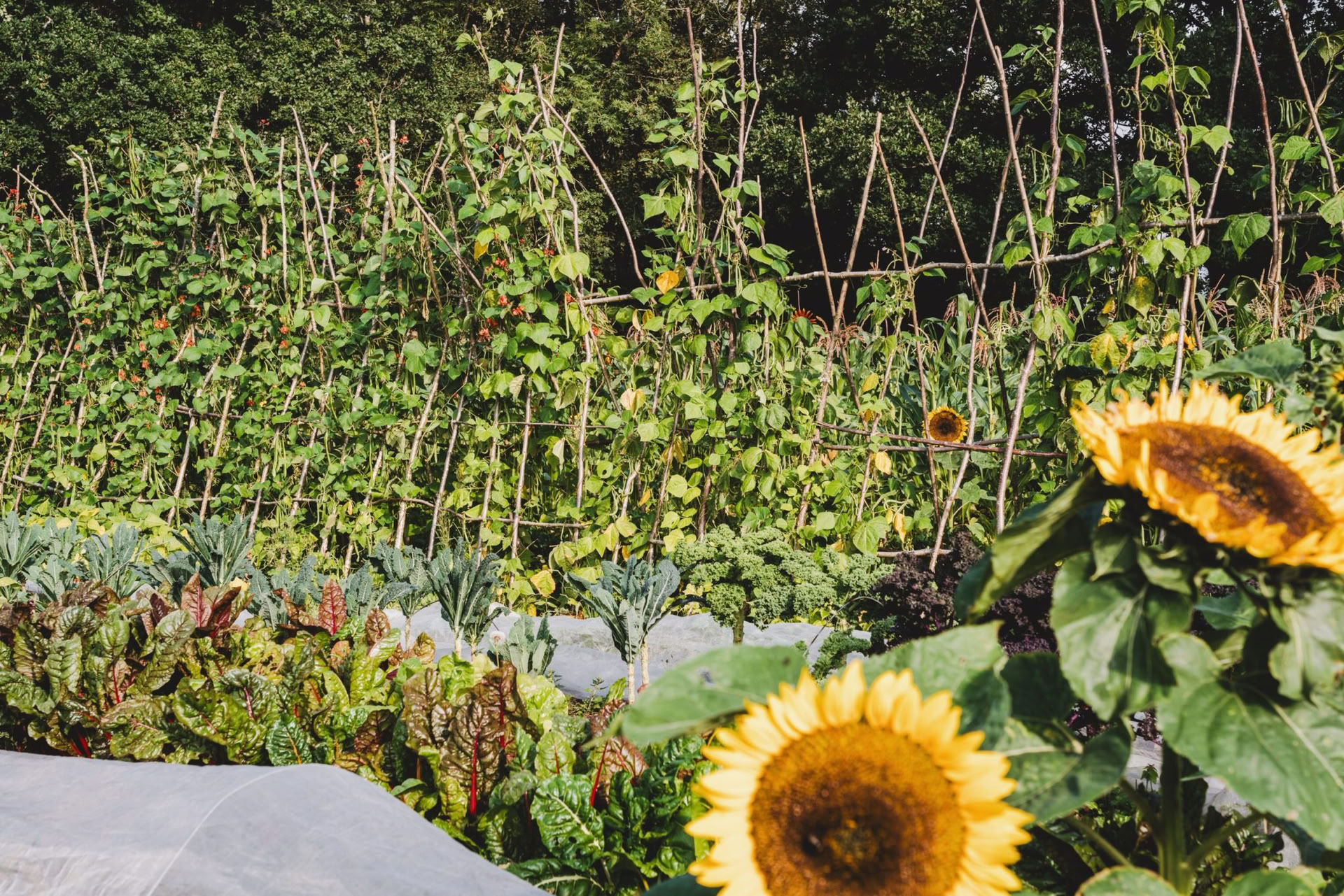 Principles of Permaculture