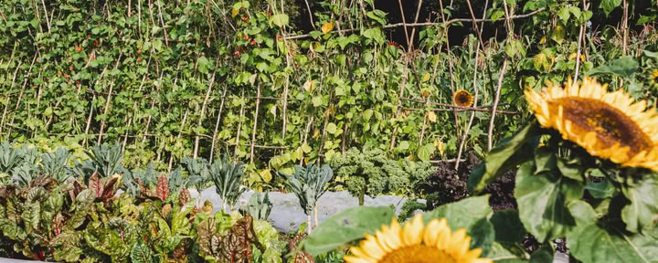 Principles of Permaculture
