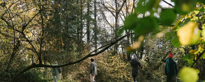 Into The Woods Scavenger Hunt
