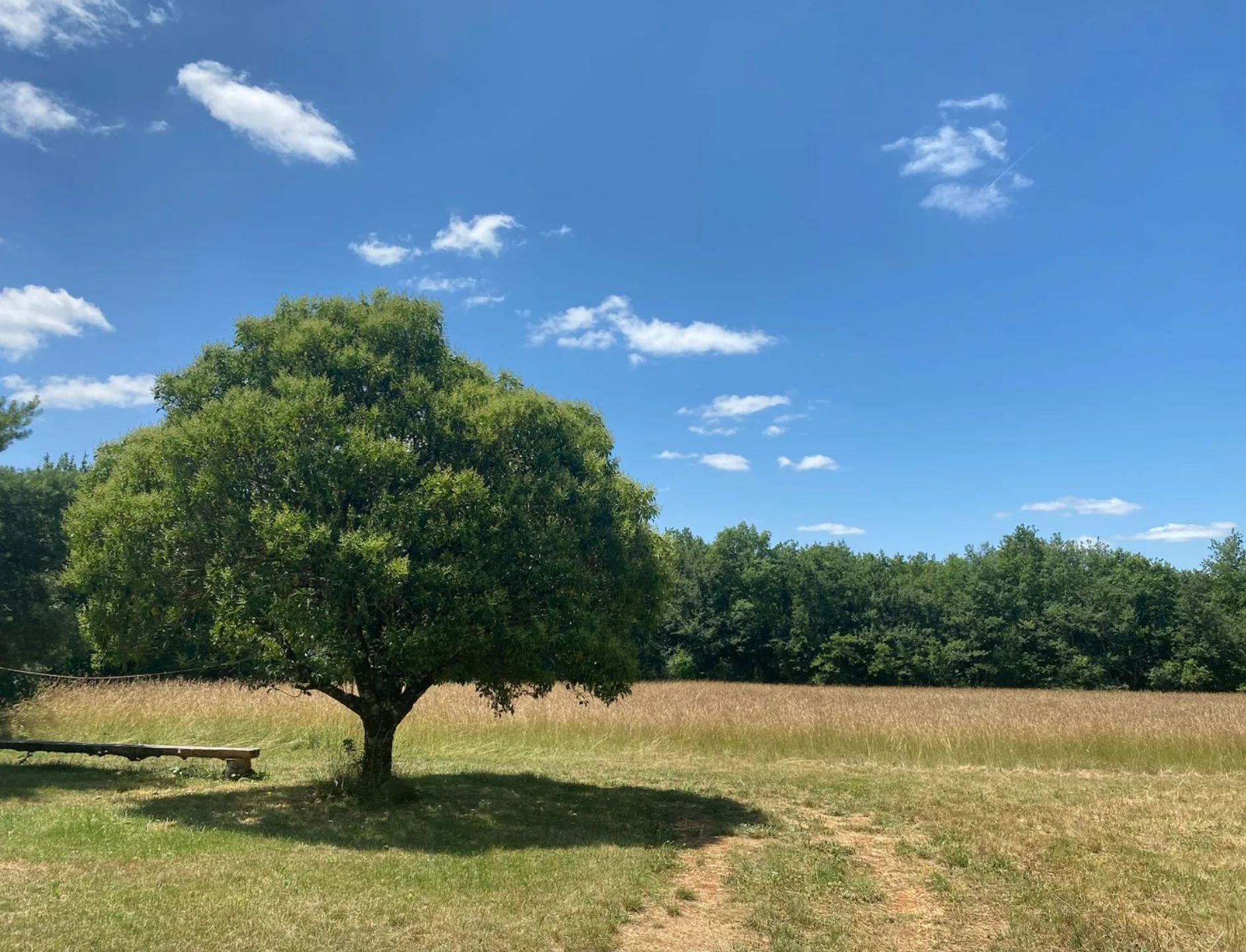 Healing yoga and meditation retreat