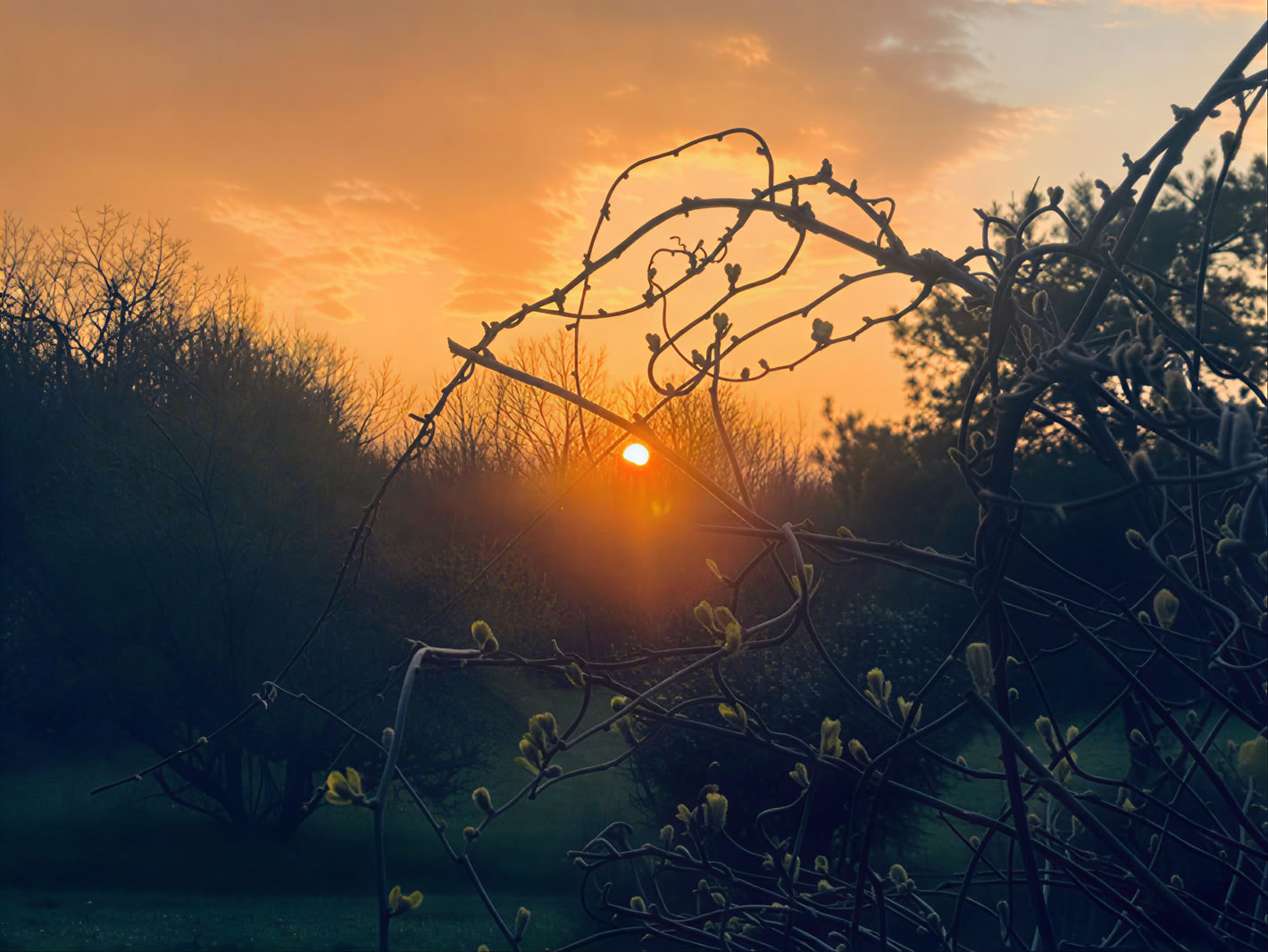 Healing yoga and meditation retreat